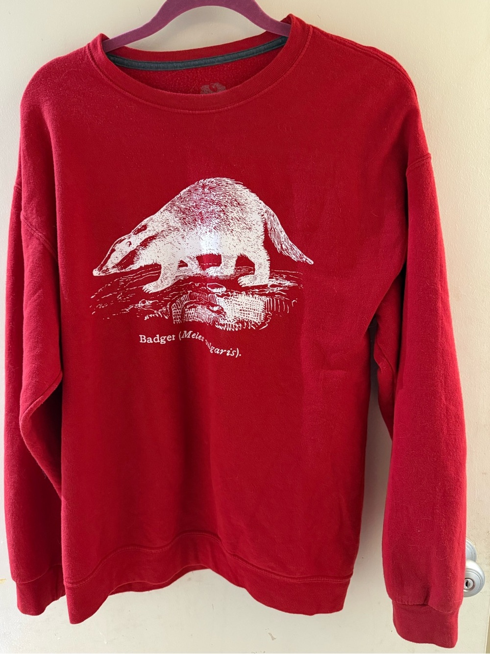 Red Badger Graphic Crewneck Sweatshirt